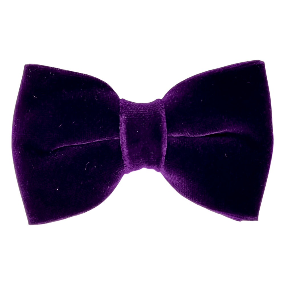 Ascot, nœud de velours solennel, violet - UNIT Hamburg