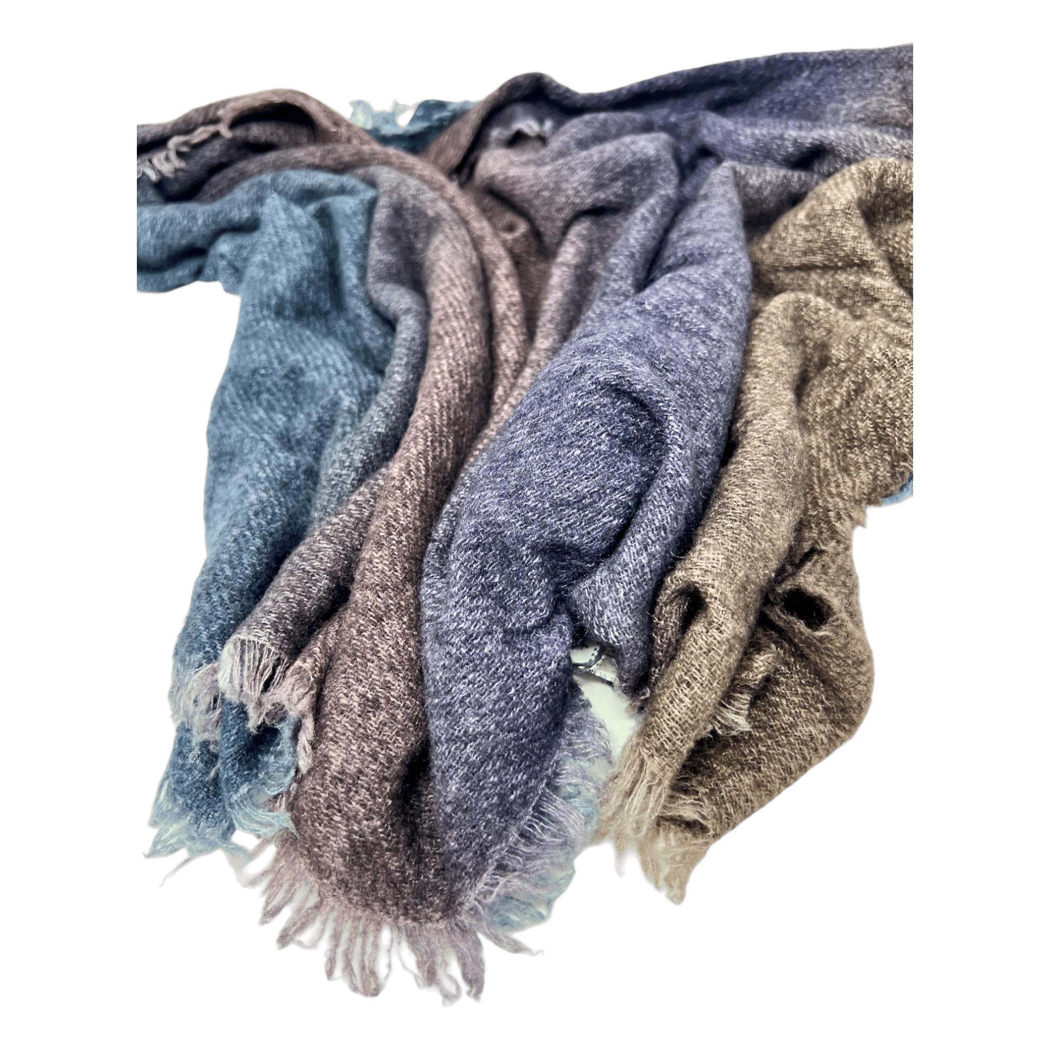 Faliero Sarti - UNIT Hamburg