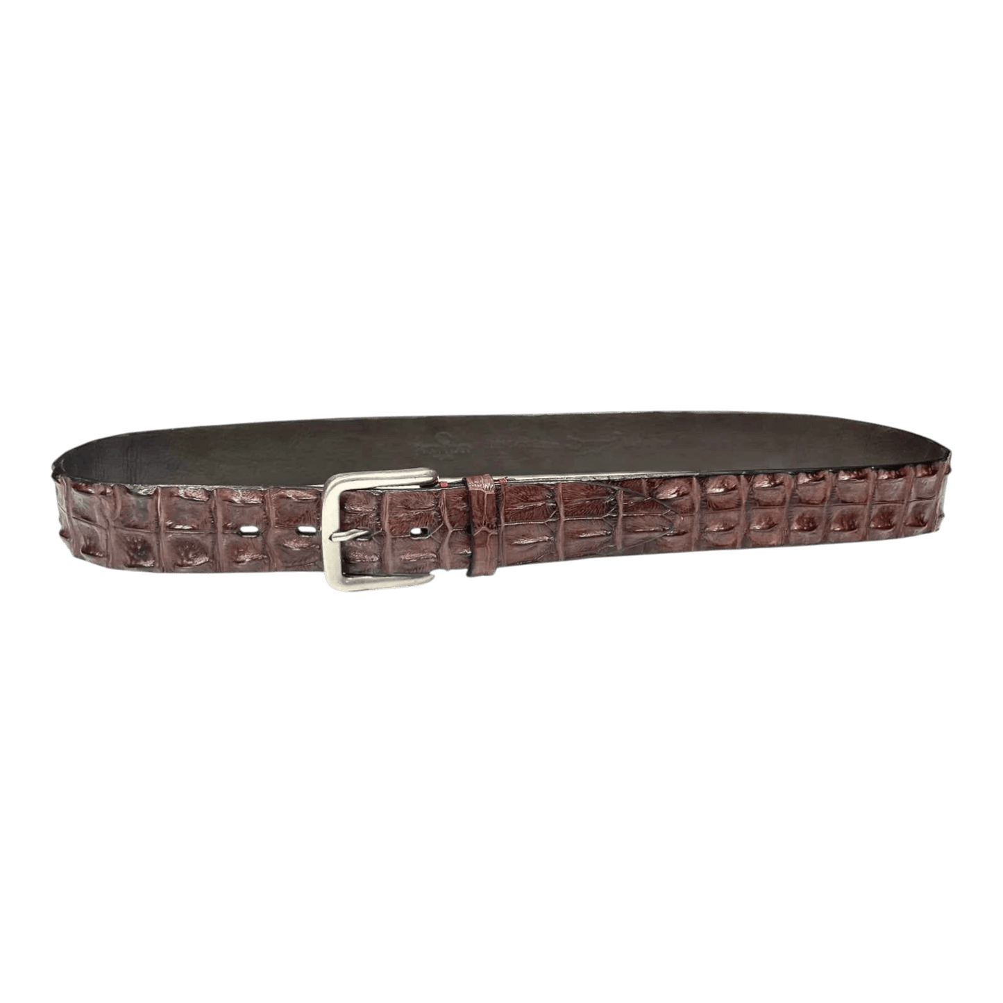 UNIT Hamburg - Fausto Colato, crocodile back center belt, brown - Fausto Colato