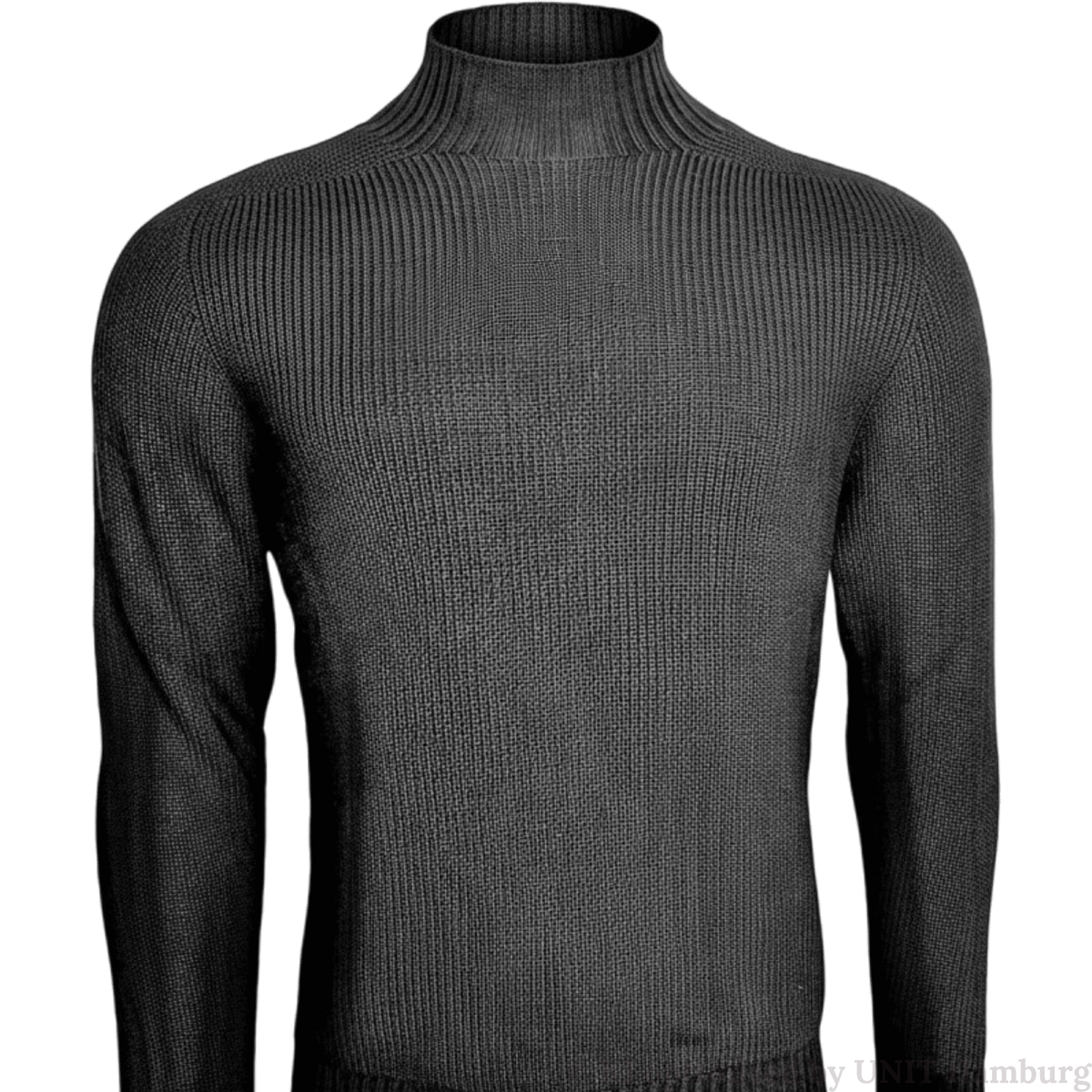 Watermarked - Turtleneck aus Rainwool von Gran Sasso in Schwarz